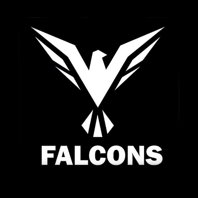 Fosse Falcons